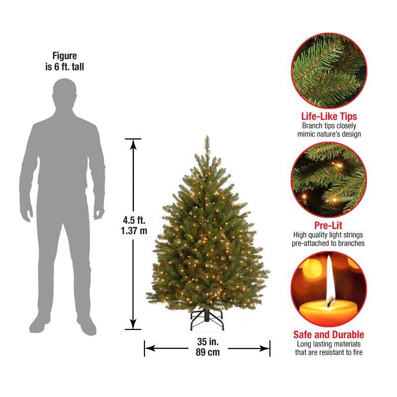 The Holiday Aisle® Dunhill Fir Tree with Clear Lights