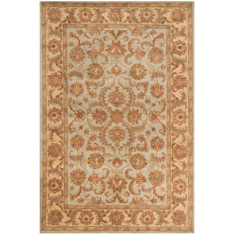 Heritage HG811 Hand Tufted Area Rug  - Safavieh