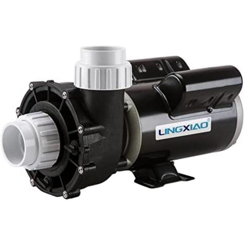 Executive 56 Frame Black 5 HP Dual-Speed Spa Pump