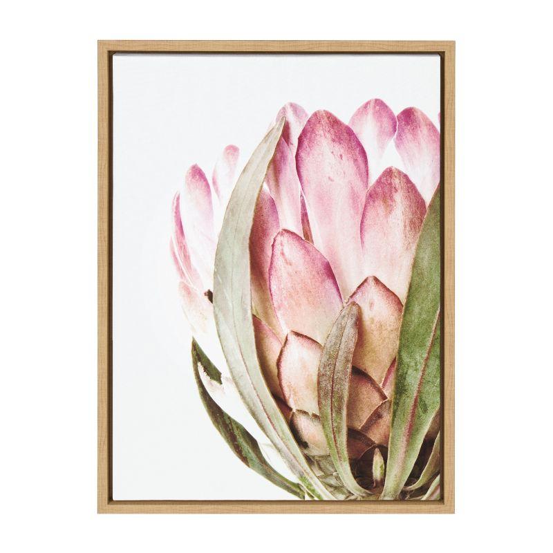 Pink Protea Flower Framed Canvas Art, 18x24, Natural Wood