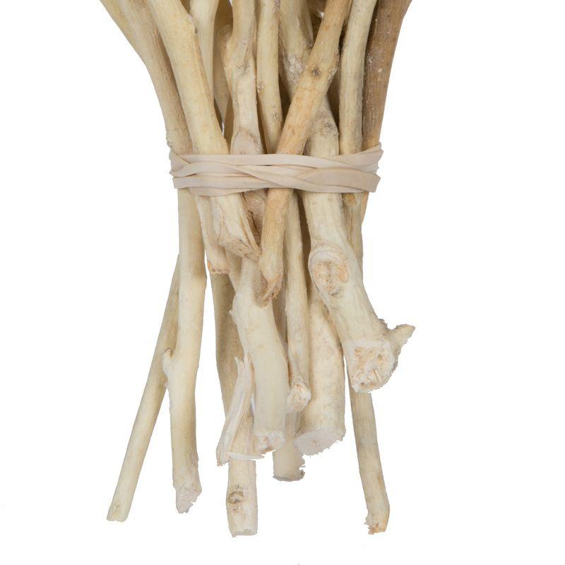 Bleached Natural Conical Gum Branch Stems, 20-Pack