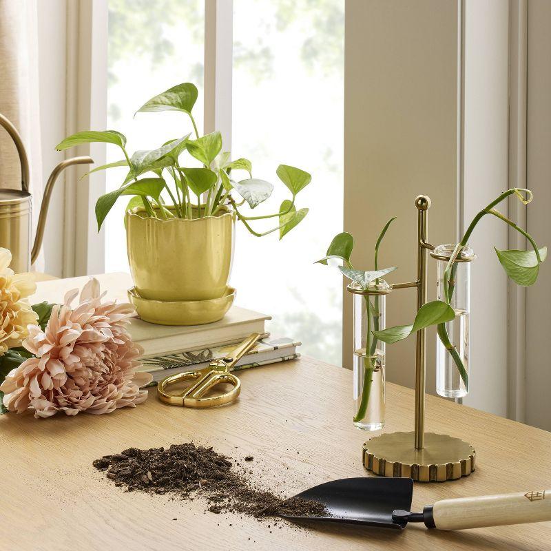 3pc Test Tube Brass Industrial Glass Vase - Hearth & Hand™ with Magnolia