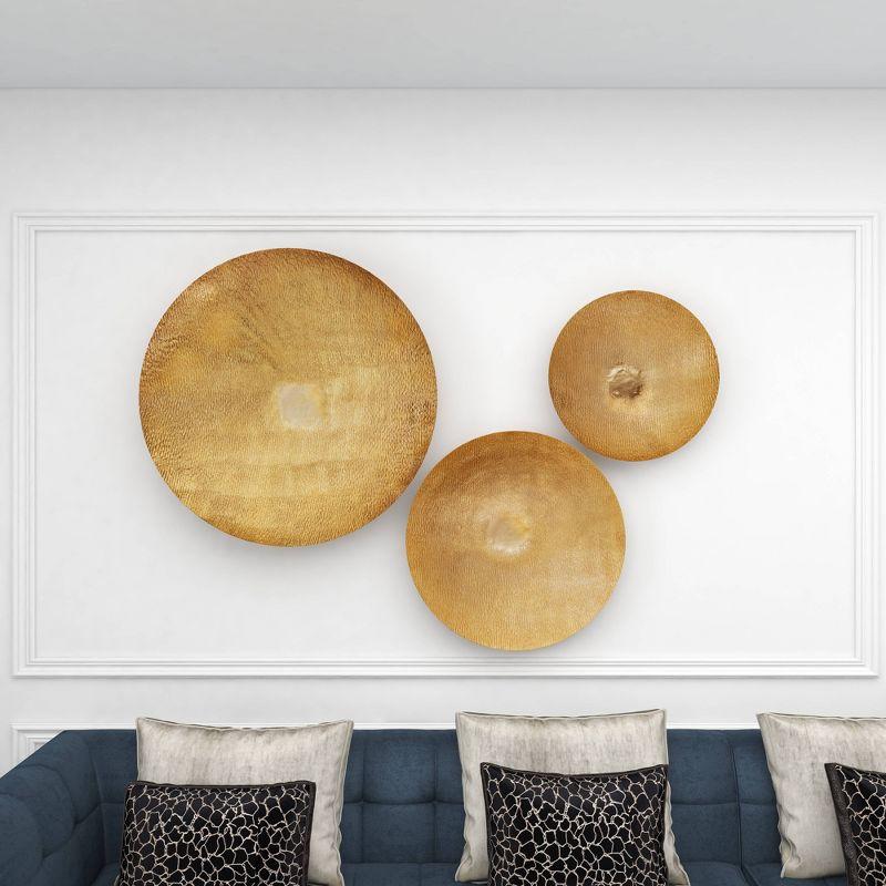 Set of 3 Metal Plate Large Metallic Disk Wall Decors - Olivia & May