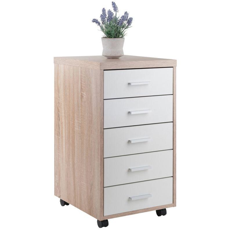 Winsome Kenner Mobile 5 Drawer Storage Cabinet Wood: Mid-Century Modern, Universal Organizer, Wood Composite