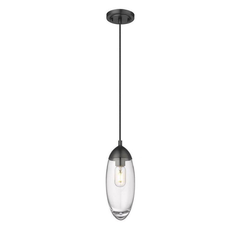 Z-Lite Arden 1 - Light Pendant in  Matte Black