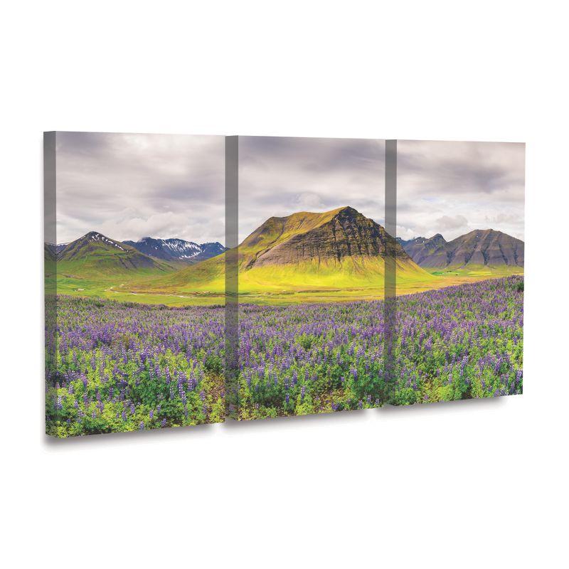 Trademark Fine Art Michael Blanchette Photography Lupines and Mountains Panorama 3 Piece Panel Set Art