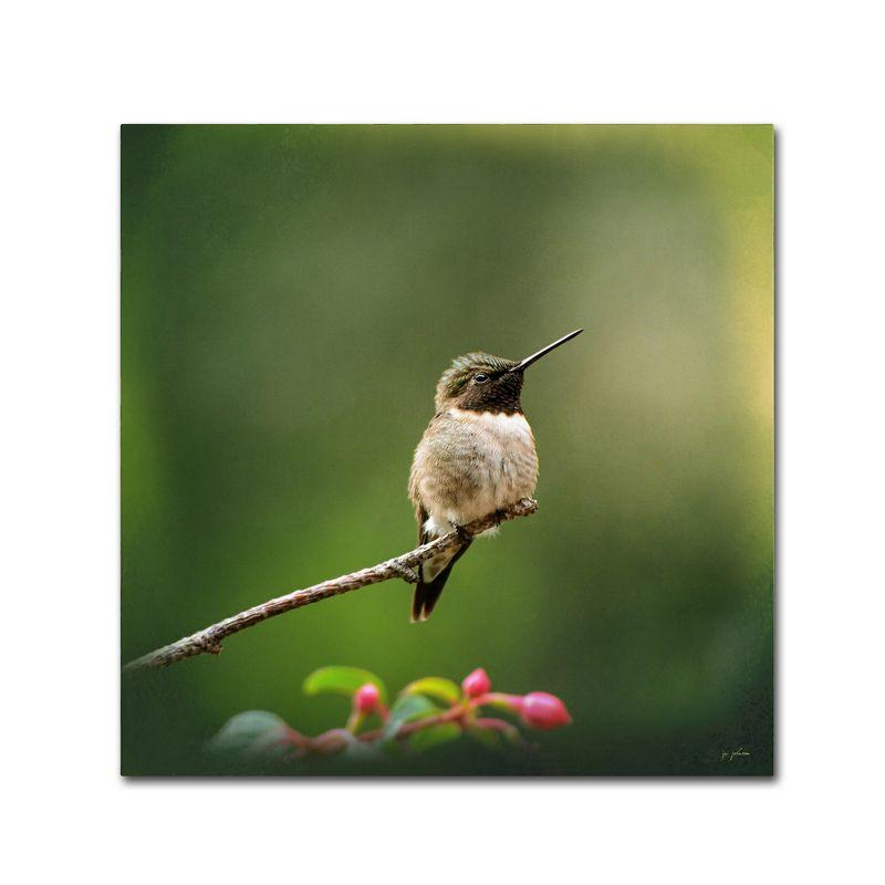 Hummingbird on Branch Green Canvas Art, 14x14