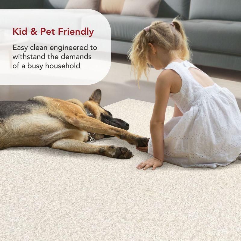 Nuloom Marlow Machine Washable Soft Shaggy Faux Sheepskin Indoor Area Rug