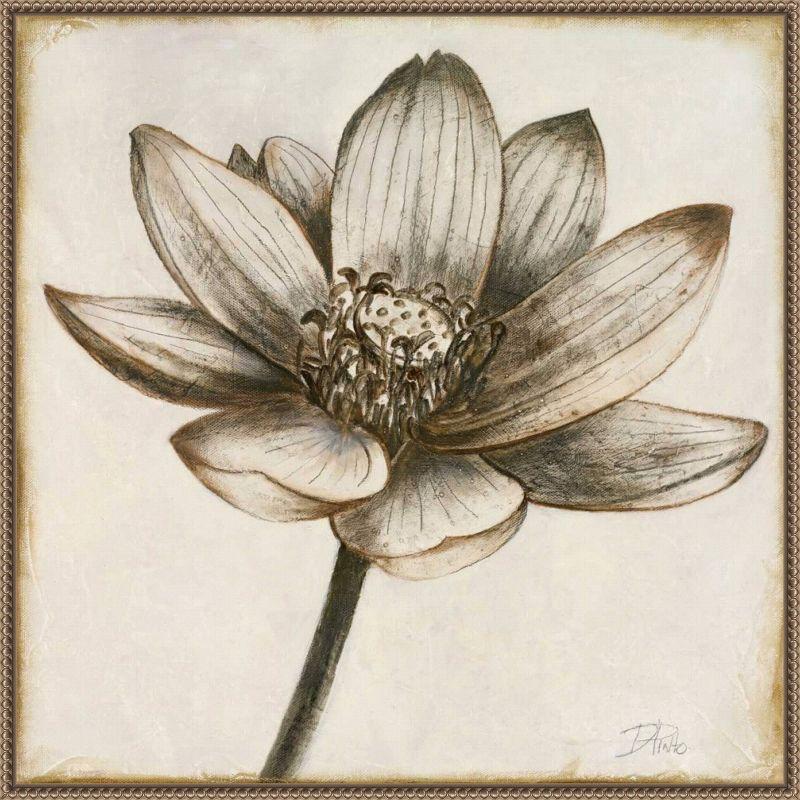 Sepia Lotus Blossom II 30" x 30" Beaded Framed Canvas Wall Art