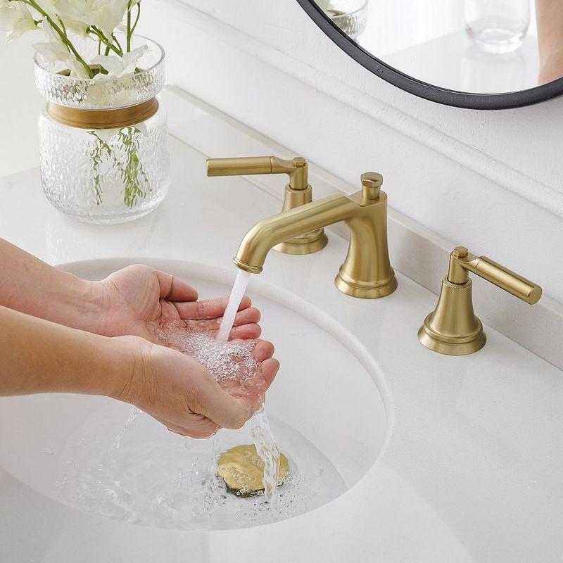 Widespread 2-handle Bathroom Faucet with Drain Assembly