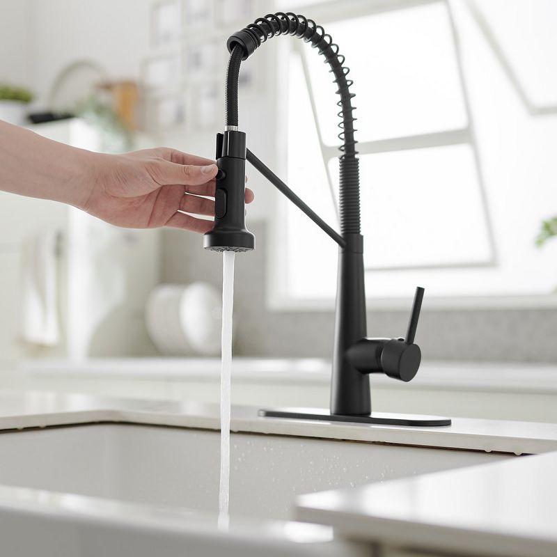 Single-Handle Pull-Down Sprayer 2 Spray High Arc Kitchen Faucet With Deck Plate