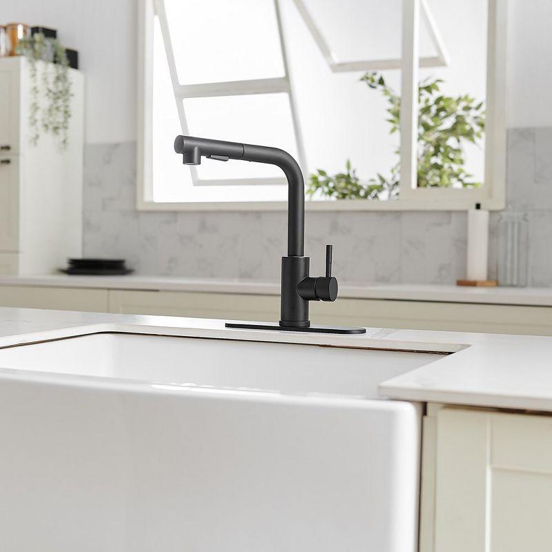 VIBRANTBATH Pull Out Kitchen Faucet