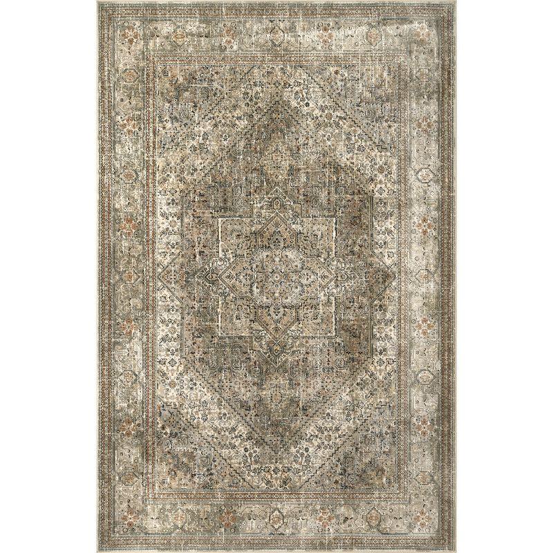 nuLOOM Traditional Carol Medallion Area Rug