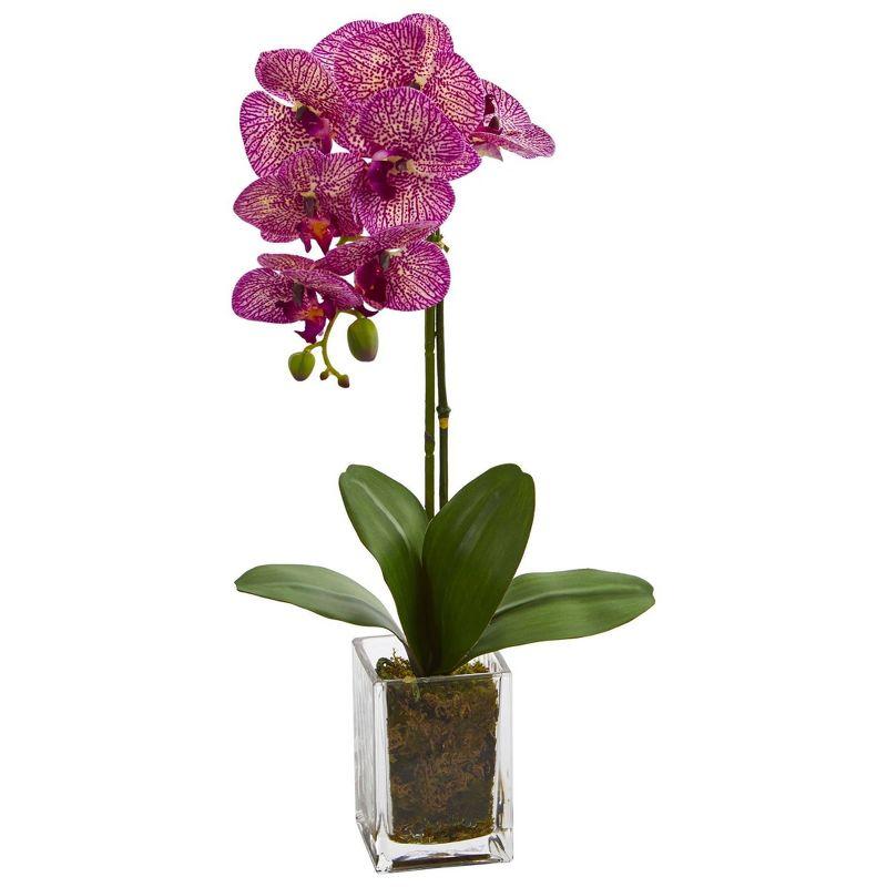 Nearly Natural 24-in Orchid Phalaenopsis Artificial Arrangement in Vase