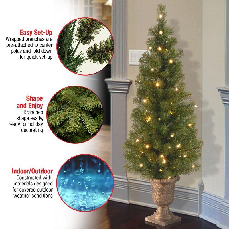 4' Prelit Pencil Montclair Spruce Artificial Christmas Tree Clear Lights - National Tree Company