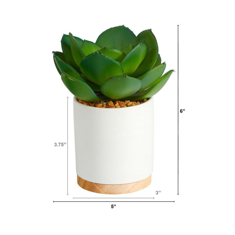 Nearly Natural 6-in Succulent Artificial Plant in White Ceramic Planter