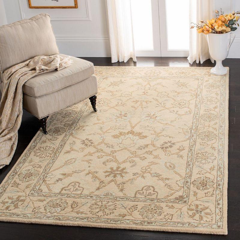 Wyndham WYD205 Hand Tufted Area Rug  - Safavieh