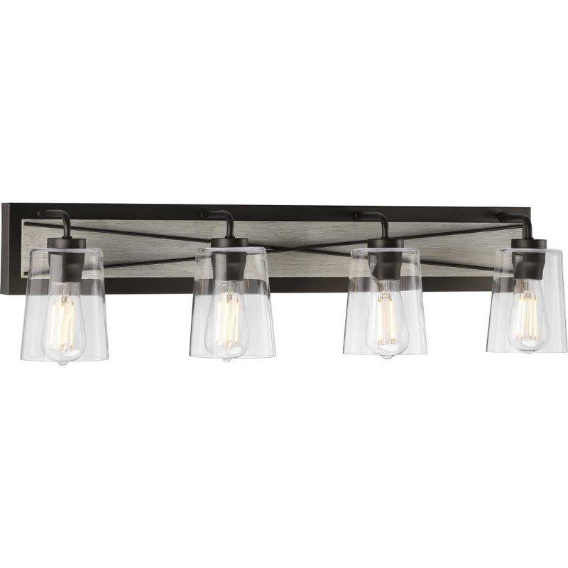 Progress Lighting Briarwood 4-Light Bath Vanity in Graphite with Clear Glass Shades