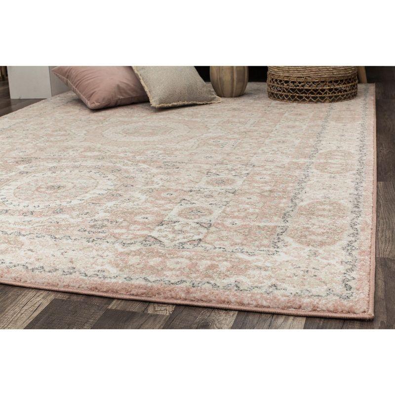 Rugs America Harper Pink Transitional Vintage Area Rug