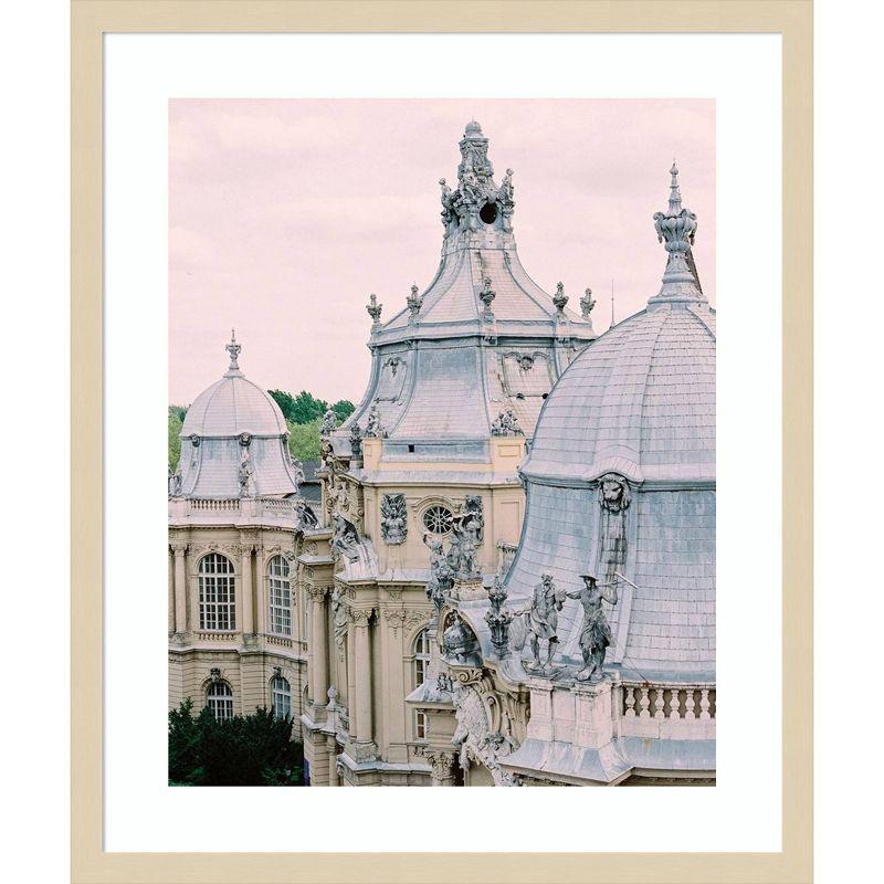 Paris Rooftops II Svelte Natural Framed Photography Print