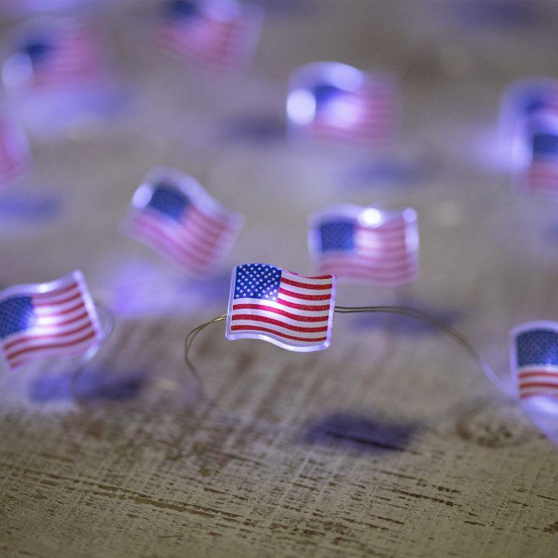 Northlight Seasonal 20-Count Patriotic Americana USA Flag LED Fairy Lights 6.25ft Copper Wire | Wayfair