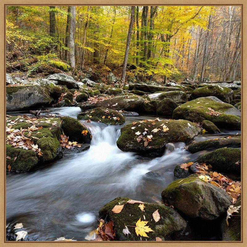 Autumn Rush Scenic Landscape Canvas Print with Maple Frame