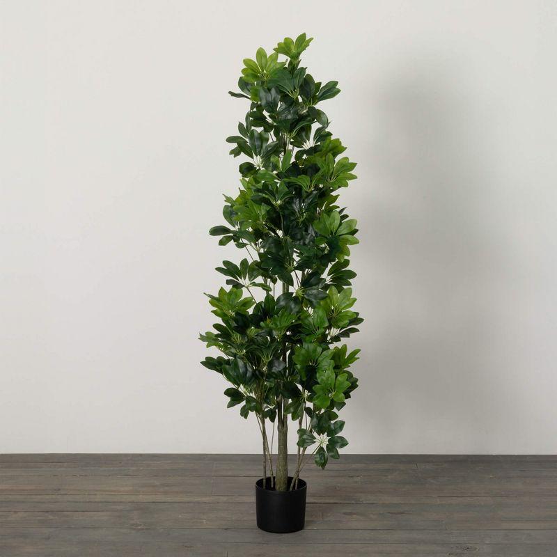Sullivans Artificial Potted Schefflera Plant 62"H; Green