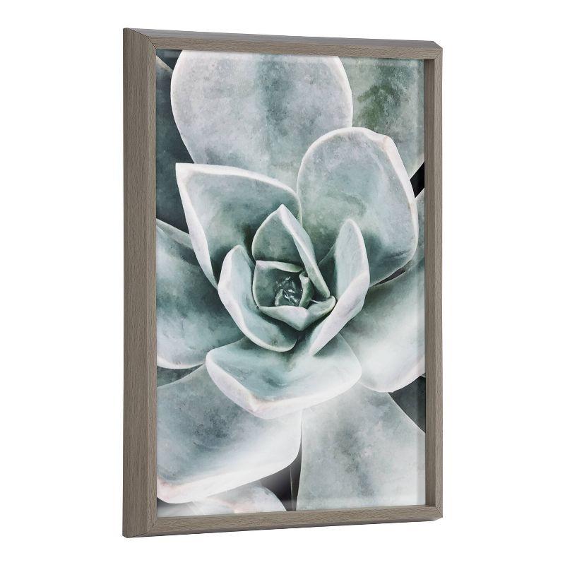 18" x 24" Blake Botanical Succulent Plants Printed Glass Framed Canvas by the Creative Bunch Studio Gray - Kate & Laurel All Things Decor: