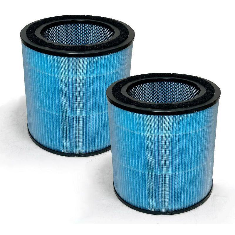 Nispira AP0601 2-in-1 True HEPA Filter Replacement for AirTok Air Purifier AP0601-RF | Remove Particle Size down to 0.1 microns | 2 Packs