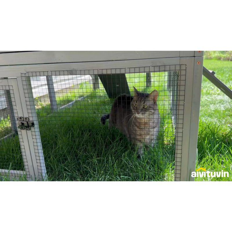 Aivituvin-AIR82 Large Cat Enclosure,Vertical Climbing Enclosure