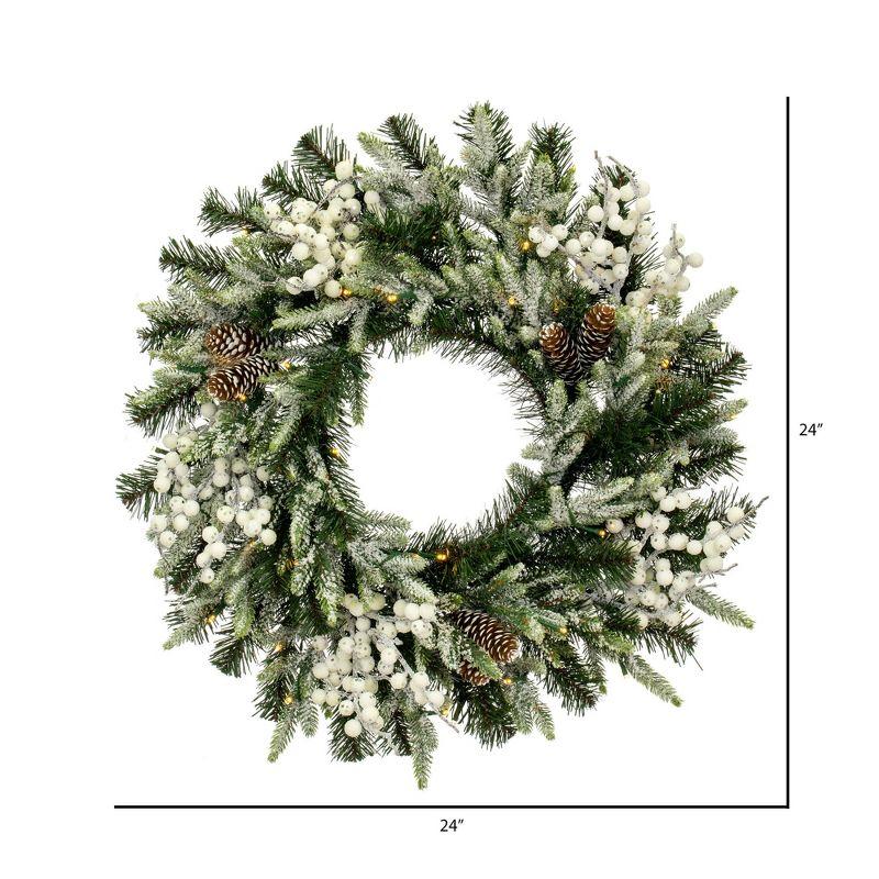 Frosted Pine Cone 29" Pre-Lit Outdoor Wreath with Warm White LED Lights