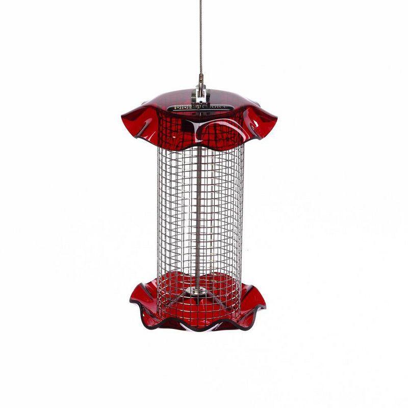 Birds Choice Small Sunflower Seed Forever Feeder with Stainless Steel Screen
