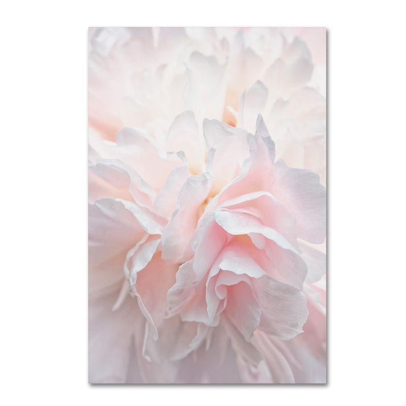 Pink Peony Petals IV 16x24 Canvas Wall Art