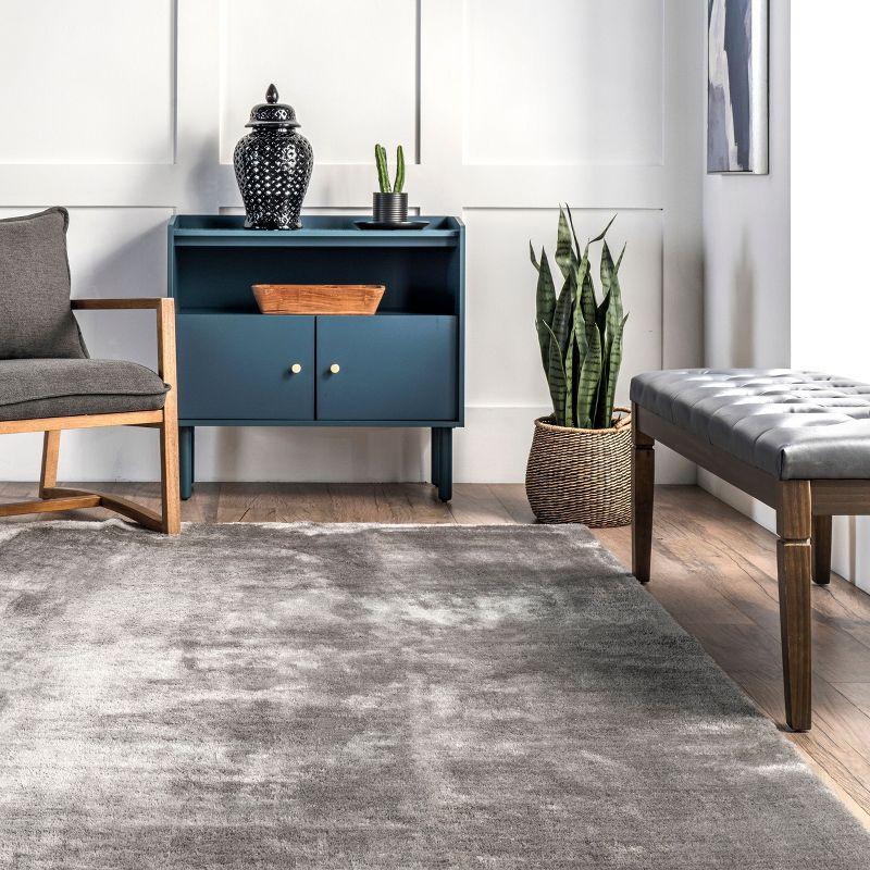 nuLOOM 2' x 3' Cozy Plush SuperiorWash Area Rug, Machine Washable, Non-Slip, Soft Fluffy Shag Carpet for Living Room Bedroom Nursery, Loni Dark Grey