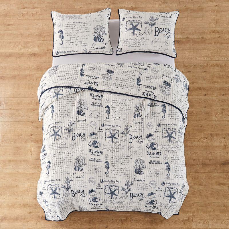 Navy Reversible Cotton Twin Quilt Set with Pillow Sham