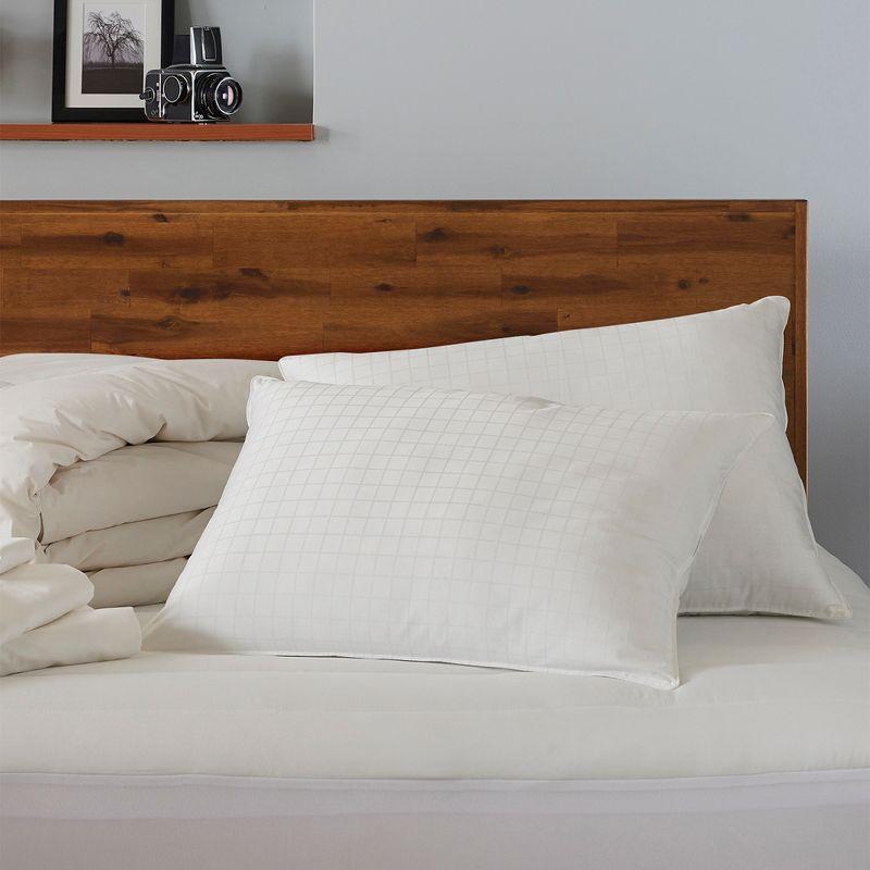 Standard White Cotton Down Alternative Pillow Set