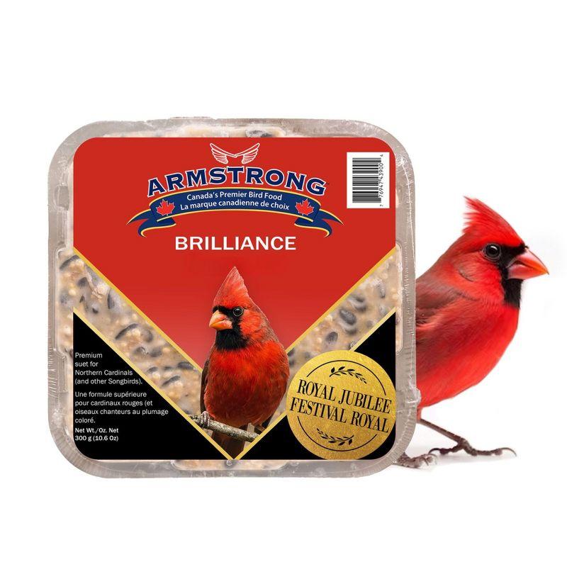 Armstrong Wild Bird Food Royal Jubilee Brilliance Suet Cake, 10.6oz (Pack of 3)