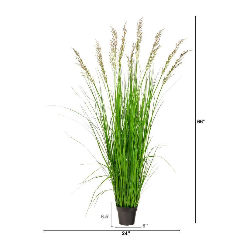 Nearly Natural 5.5-ft Plum Grass Artificial Plant