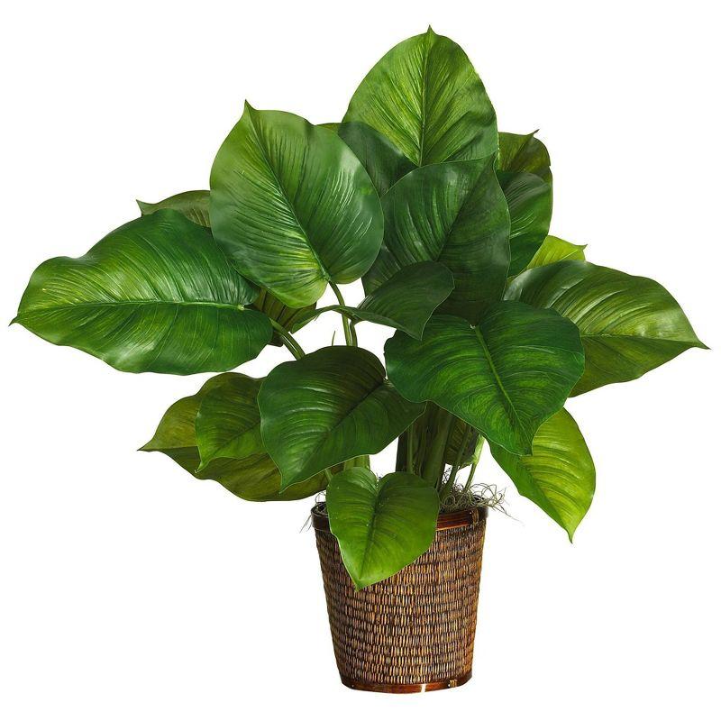 29-Inch Large Leaf Philodendron in Wicker Basket