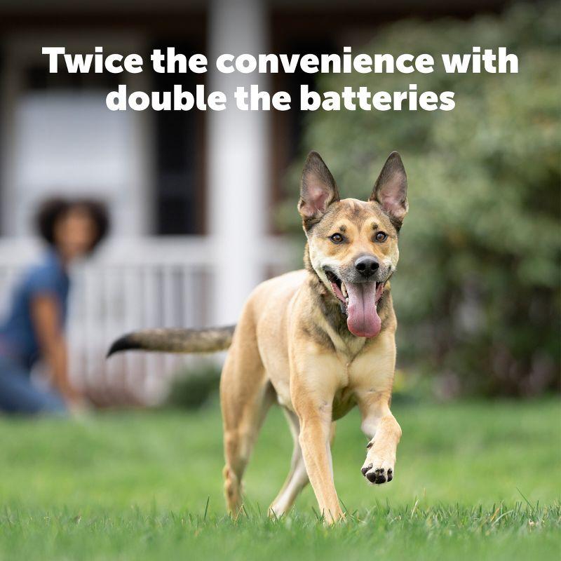 PetSafe 6 Volt Battery - 2pk - Black