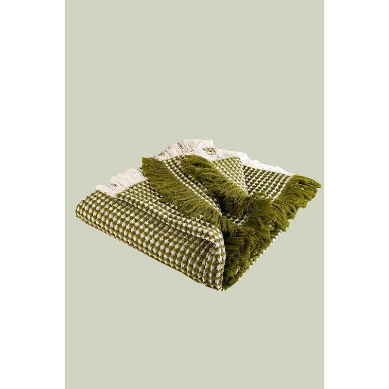 Eros Avocado Cotton Tasseled Throw Blanket 50x60