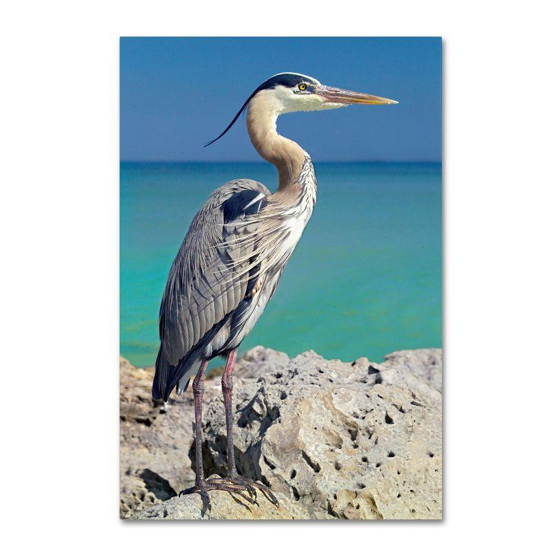 Blue Heron Portrait Canvas Wall Art with Floater Frame