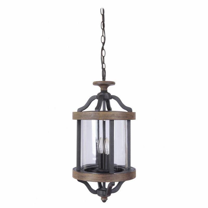 Ashwood Textured Black and Clear Glass 2-Light Outdoor Pendant