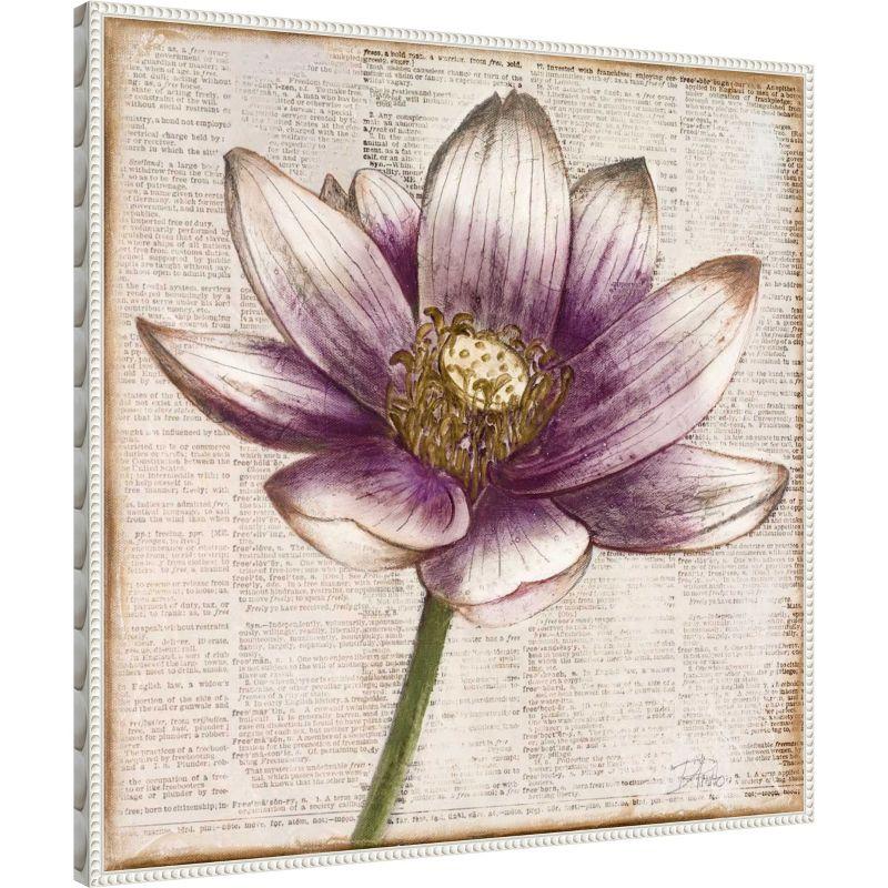 Amanti Art Defined Lotus Flower II by Patricia Pinto Canvas Wall Art Print Framed 30 x 30-in.