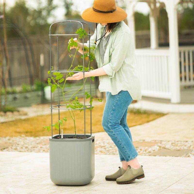 Vego Garden Self-Watering Rolling Tomato Rectangular Indoor Outdoor Planter Pot with Trellis 15"x15"x55"