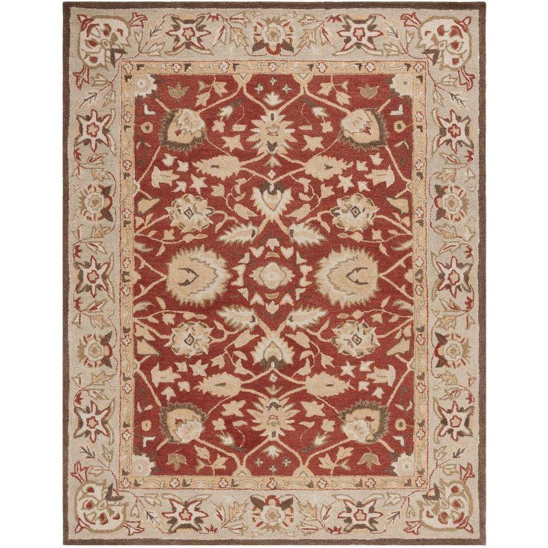 Anatolia AN512 Hand Tufted Indoor Area Rug - Rust/Green - 9'x12' - Safavieh
