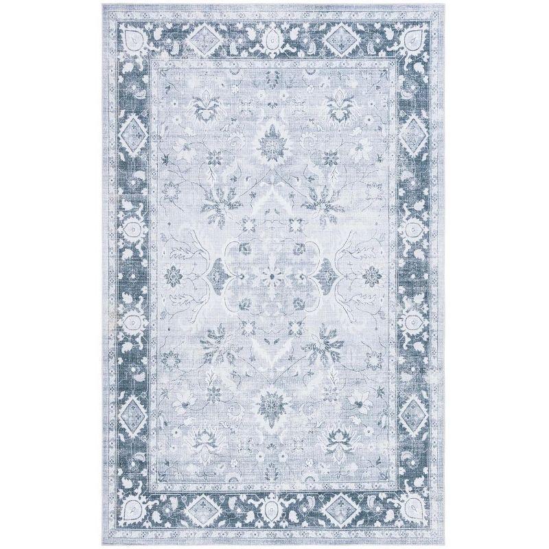 Arizona Gray Synthetic Machine Washable Area Rug 4' x 6'