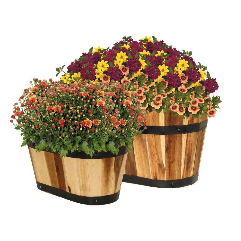 Set of 2 Acacia Oval Barrel Planters - Classic Home and Garden