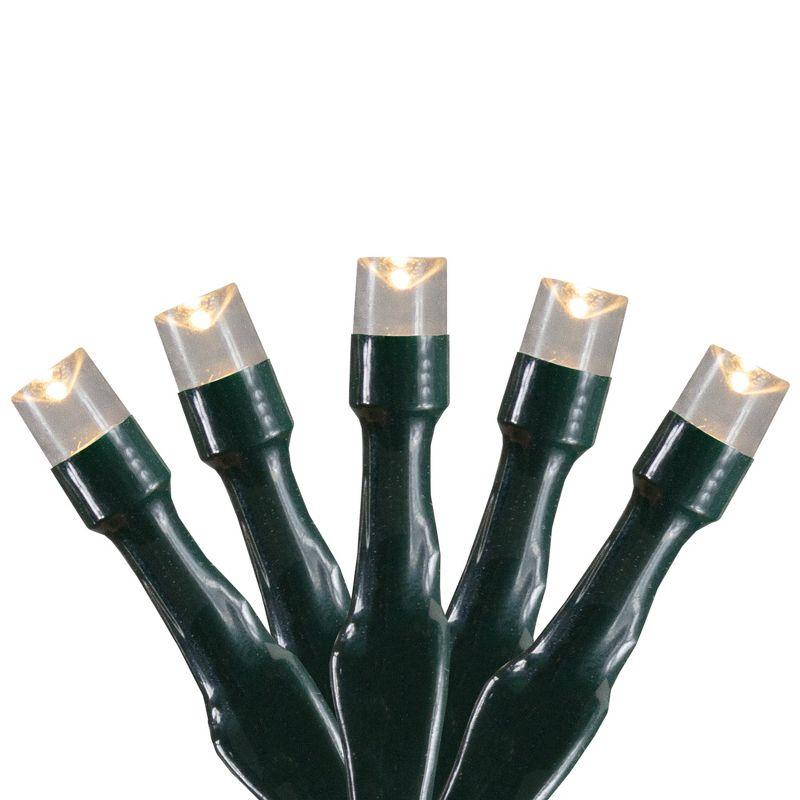 Battery Operated Warm White LED Christmas Lights with Green Wire