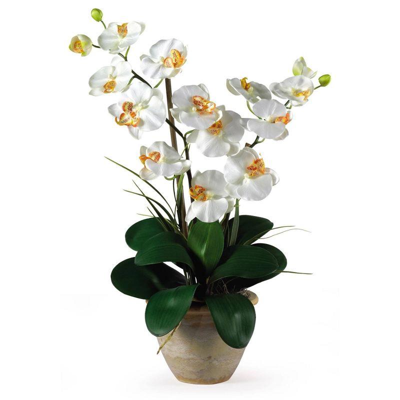 Nearly Natural Double Phalaenopsis Silk Orchid Flower Arrangement, Beauty